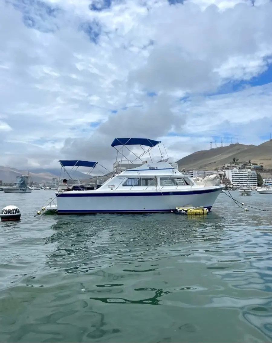 Yate Golondrina navegando en la Bahía de Ancón